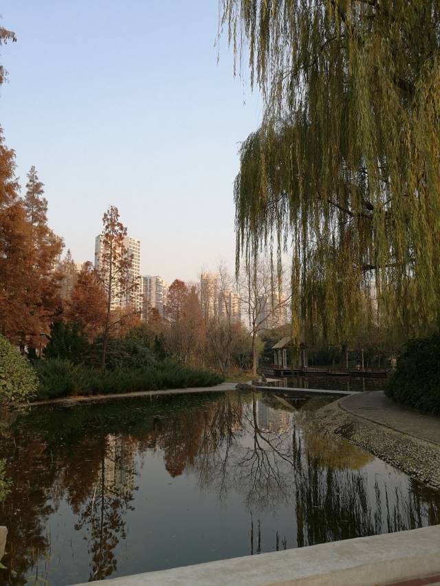 品河南(四)——郑州北环,文化路最适合散步的地方,文化公园