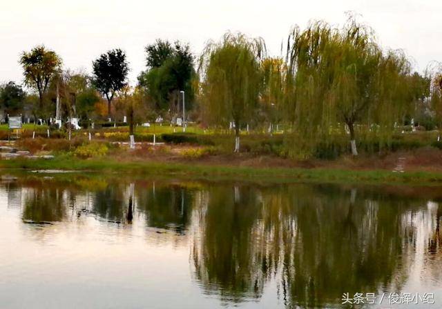 扶沟:初冬人工湖