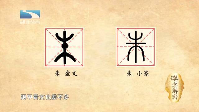 金文和小篆的朱的字形跟甲骨文差不多.