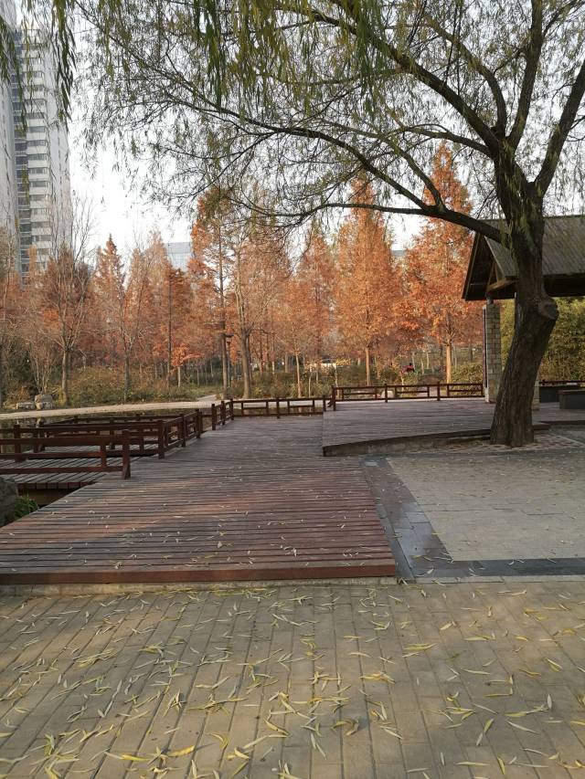 品河南(四)——郑州北环,文化路最适合散步的地方,文化公园