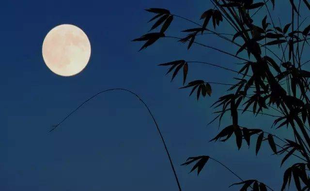 纯音乐 | 排箫《月光下的凤尾竹》,节奏舒缓,优