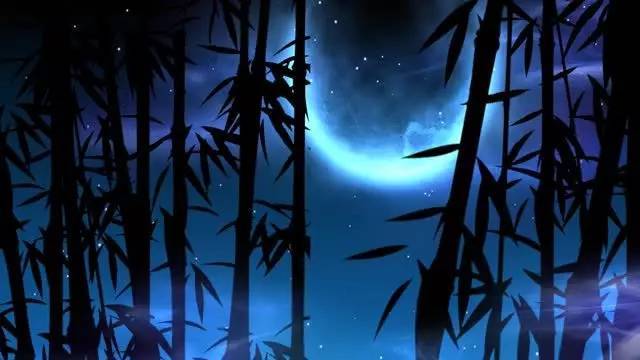 纯音乐 | 排箫《月光下的凤尾竹》,节奏舒缓,优