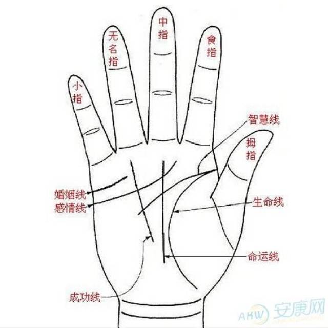 手相面相八字,如何预测你的一生?盲派八字地支