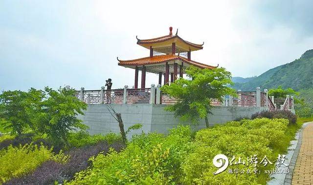 厉害了仙游!省级荣誉又要来了!