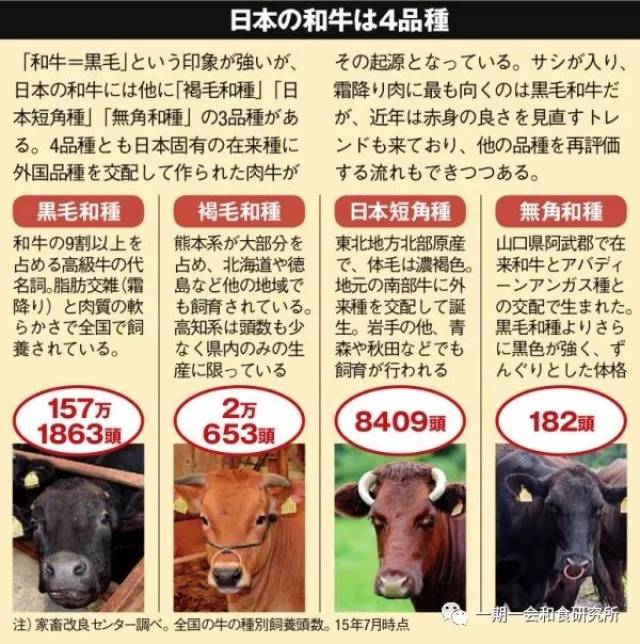 日本和牛全解析