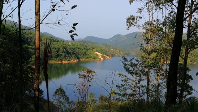 鸡心石水库图片