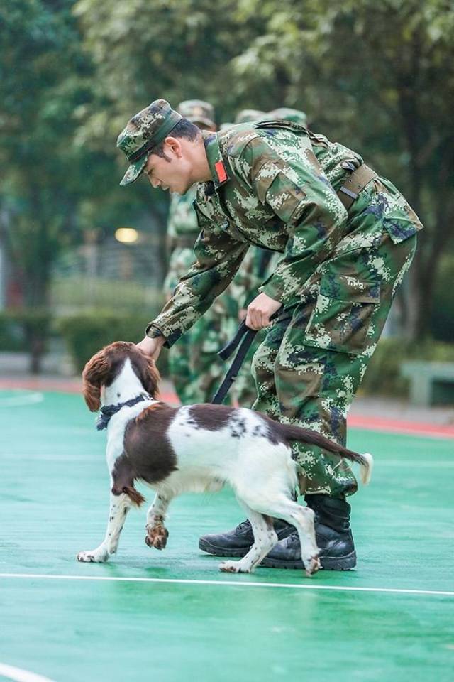 奇兵神犬都乐现状图片