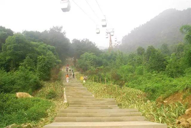 重庆歌乐山登山步道图片