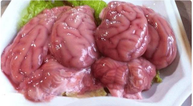 我以为广东人才重口味,没想到四川人吃脑子已经那么多年了