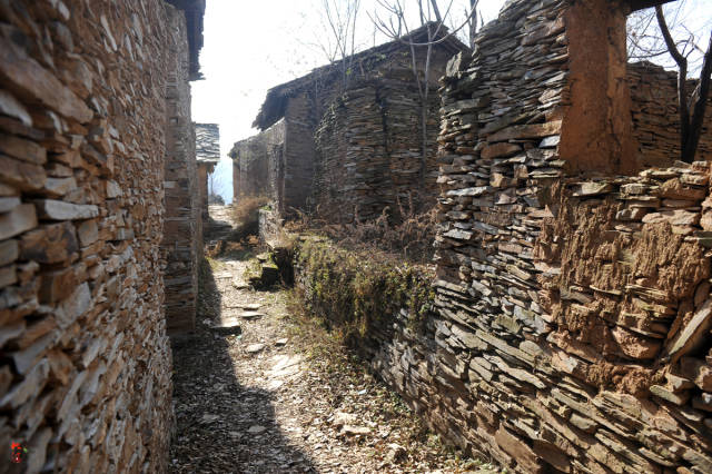 古村叫鞑子梁,位于洛南县东北40公里的石坡镇李河镇境内一座山梁上