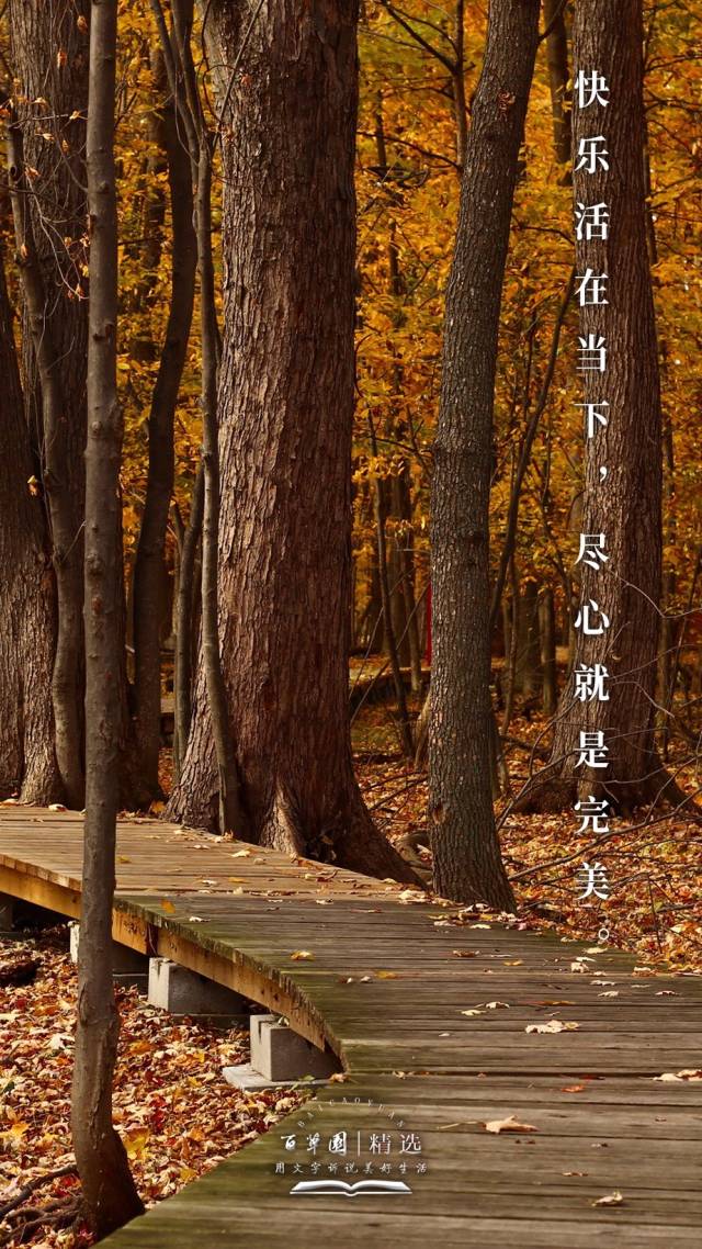 生活禅丨快乐活在当下尽心就是完美