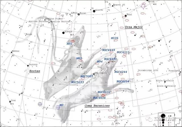 钩子变成了狗子,于是有了猎犬座?