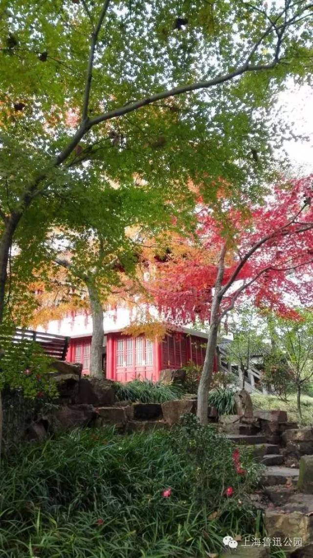 鲁迅公园