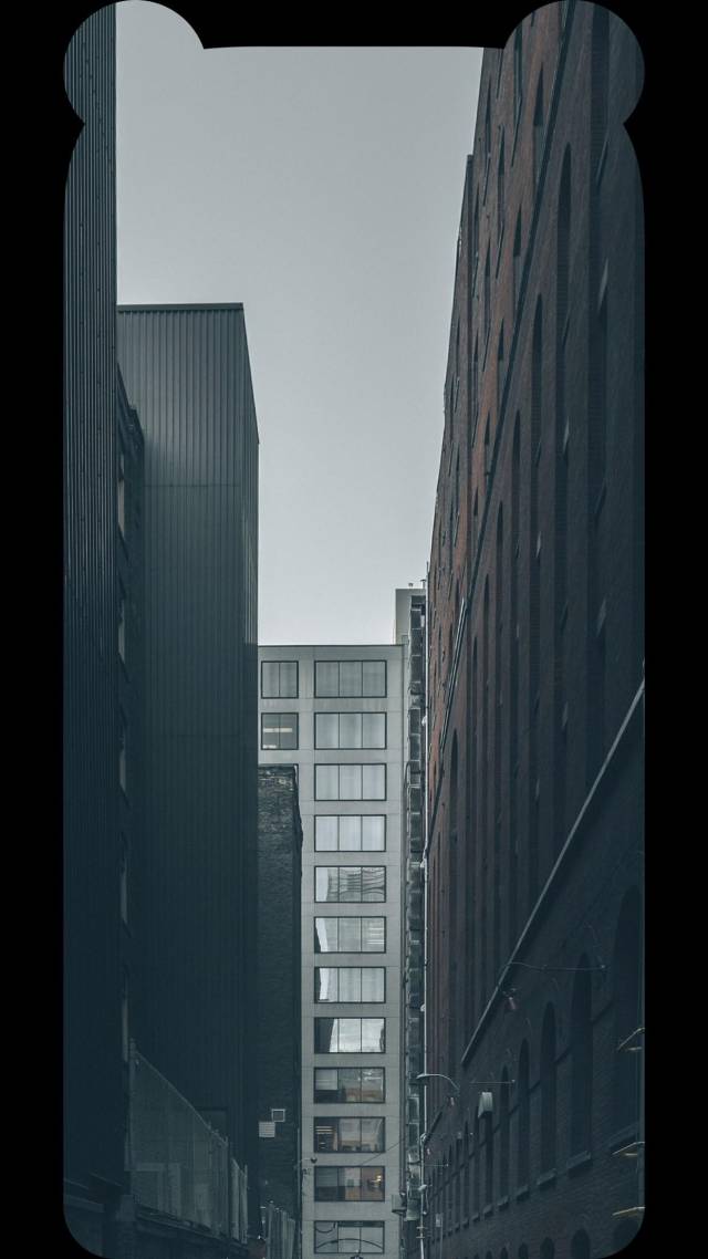 手机壁纸:iPhoneX专用全面屏熊猫耳刘海壁纸