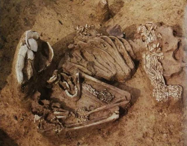 陶寺密码:"中国"与"中原"的肇端|世界考古论坛