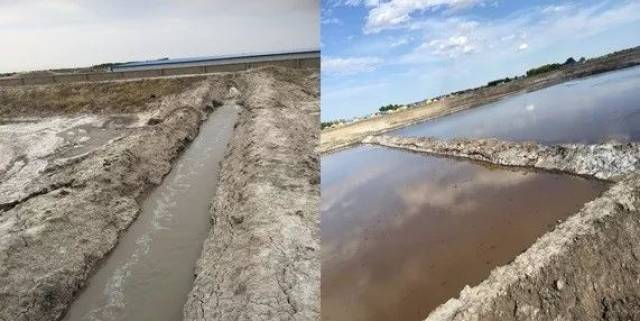 这种采用挖排碱渠,大水漫灌的传统排盐碱方式,对水资源依赖程度高