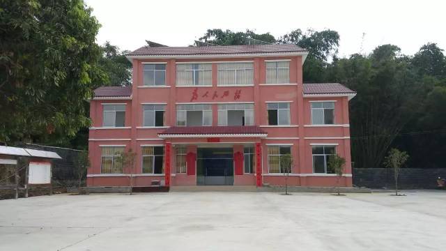 信都镇人大倾力关注农村基层公共服务设施建设