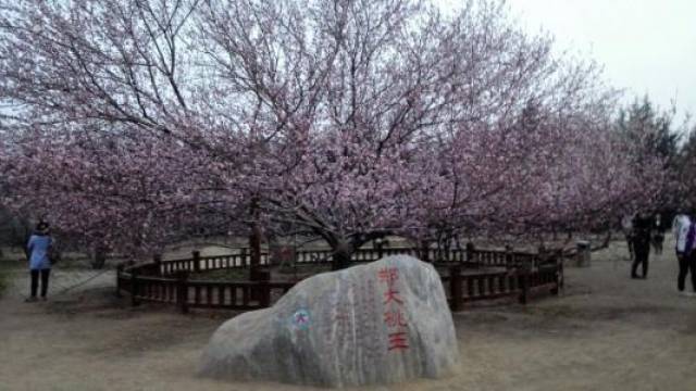 郑州大学考研复试:国家线出来后,必须立即做的