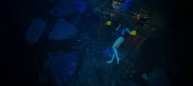 年度最刺激影片!两美女贴身肉搏鲨鱼,结局看呆