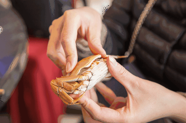 深空鲜鱿1份 农村娃娃菜1份 养颜豆腐1 美式芝士丸 蟹黄蟹籽丸 包心