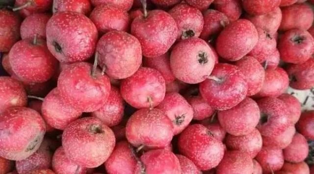 冻沙果,看见冻裂的那个了不,超级面