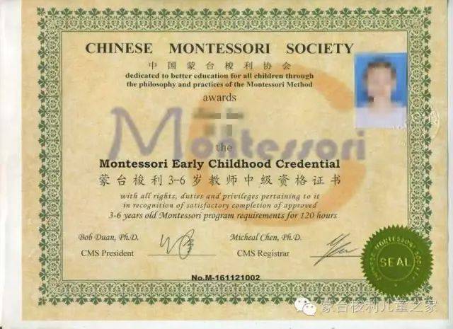 深圳幼儿园：教育新模式的典范