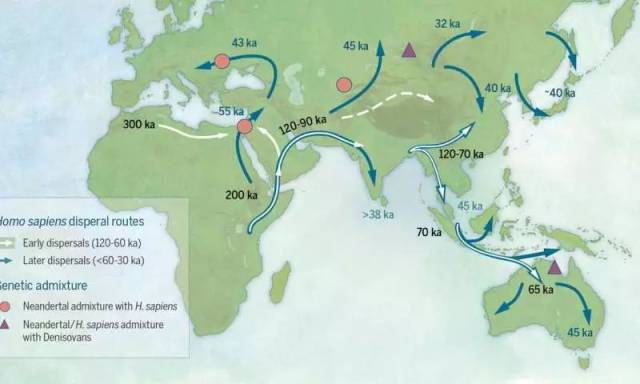 當代人的祖先源於6萬年前的非洲大遷徙?不,有可能比這還早