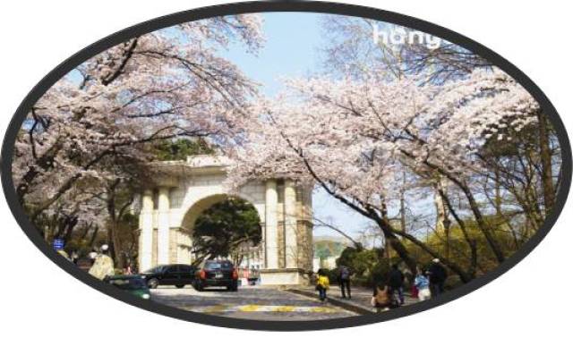 第一站 韩国高丽大学 向导: 刘煜昊 14级韩国高丽大学交换生 第二站