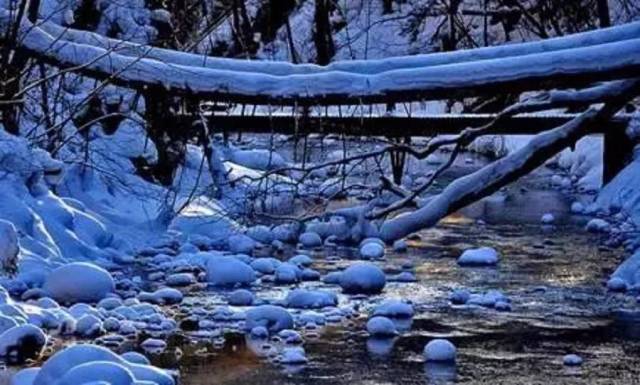 吊水壺河道不寬,到了冬季水量依然充沛,這裡的水不結冰,與兩側冰雪