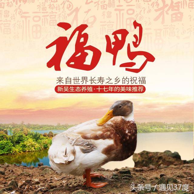 聚焦农村精准扶贫,福鸭众筹活动上线啦