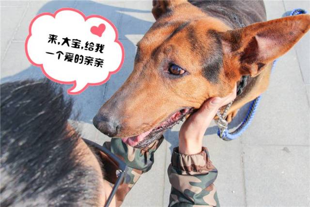 今天蚌埠一对"情侣"的牵手照,看哭了多少单身狗…-搞笑频道-手机搜狐