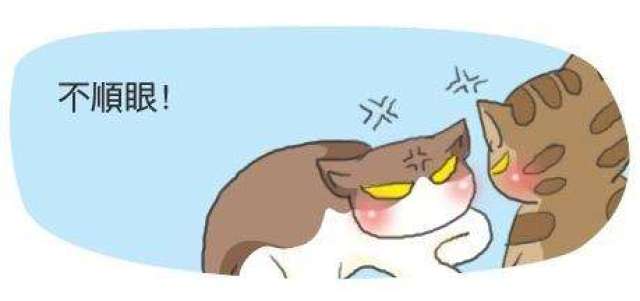 为何会看人不顺眼?这也不满意那也不满意_手机搜狐网