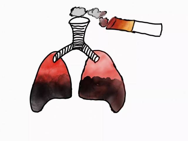 抽烟的肺图片大全画画图片