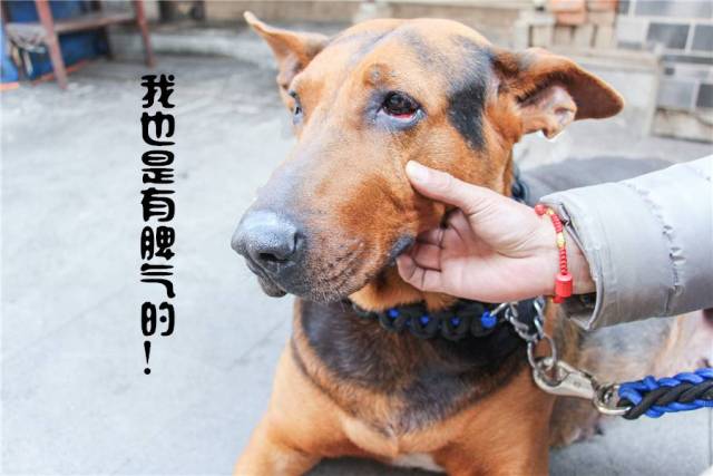 今天蚌埠一对"情侣"的牵手照,看哭了多少单身狗…-搞笑频道-手机搜狐