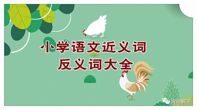 【說詞解字】小學語文近義詞,反義詞大全!