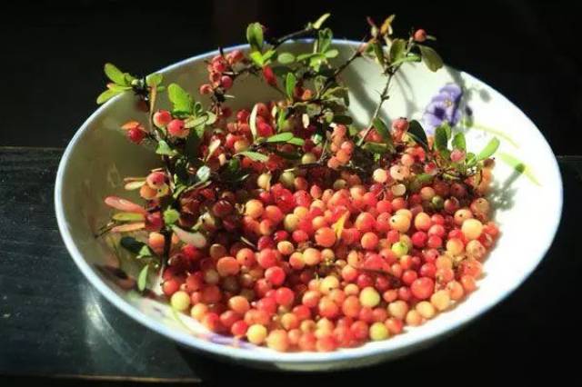 碰触心灵的美味 腾冲野生酸果的n种吃法