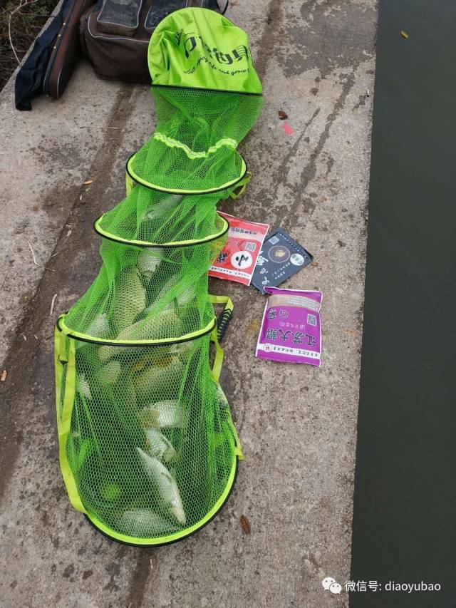 鱼护继续爆起来!