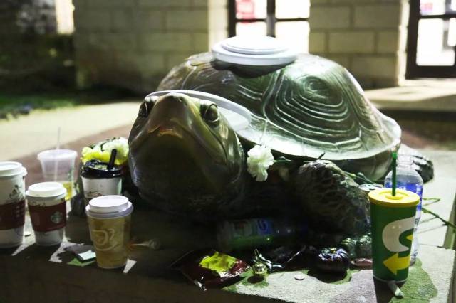 愿龟神保佑每个马大学子期末都能超常发挥,取得好成绩!