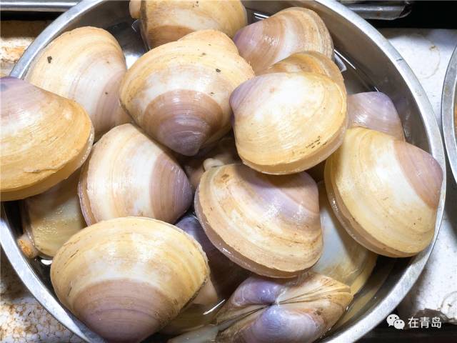 买点回家炖豆腐,鲜掉牙 7 蛤蜊,扇贝,海虹,文蛤,小海胆.