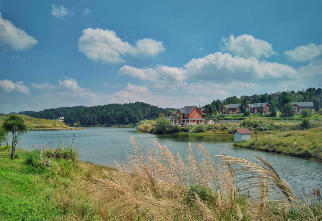 贵州修文苏格兰牧场祝贺电影《催婚》顺利杀青