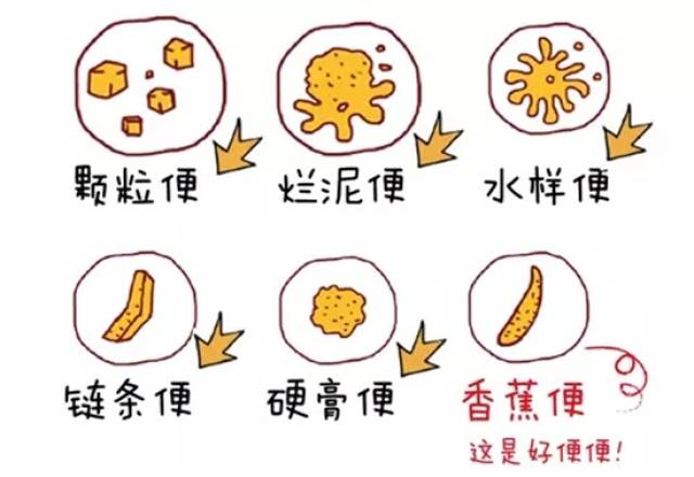 定时定期大便,帮助排毒.