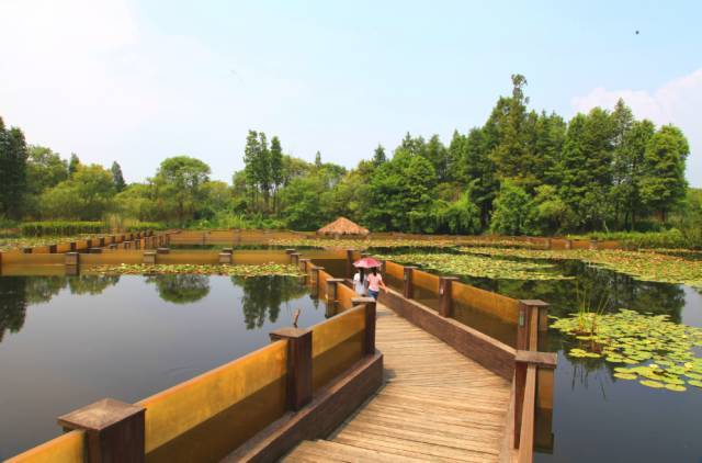 杭州旅游攻略:寻找诗画般的江南之旅