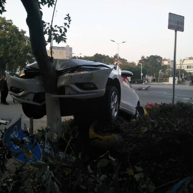 吉安發生一起嚴重車禍,大樹都嵌入車子裡了