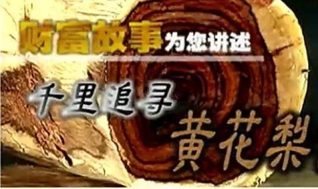 聞香・柬蒲寨産 根瘤黄花梨 聞香・柬蒲寨産 根瘤黄花梨