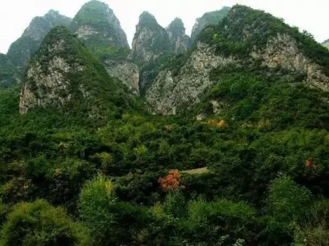 甘肅隴南兩地入圍省內十大最受歡迎旅遊景區,看看都是哪裡?