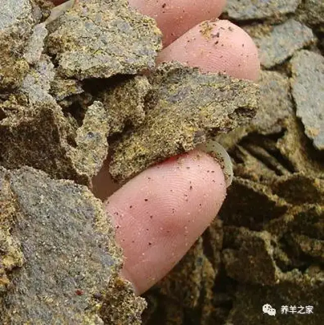 前者在芥子酶的作用下,可水解产生异硫氰酸盐,可引起甲状腺肿大;后者