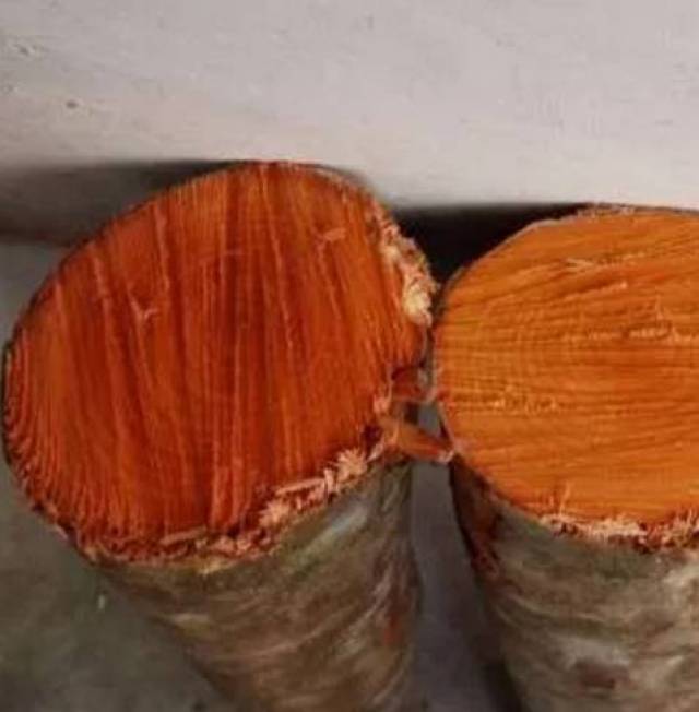 手机搜狐网