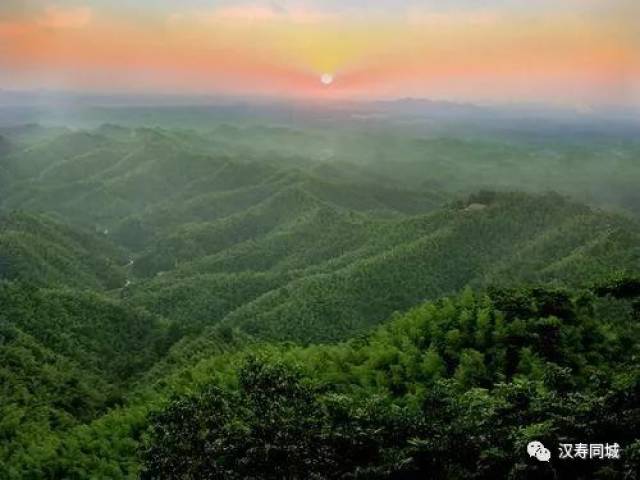 汉寿竹海图片