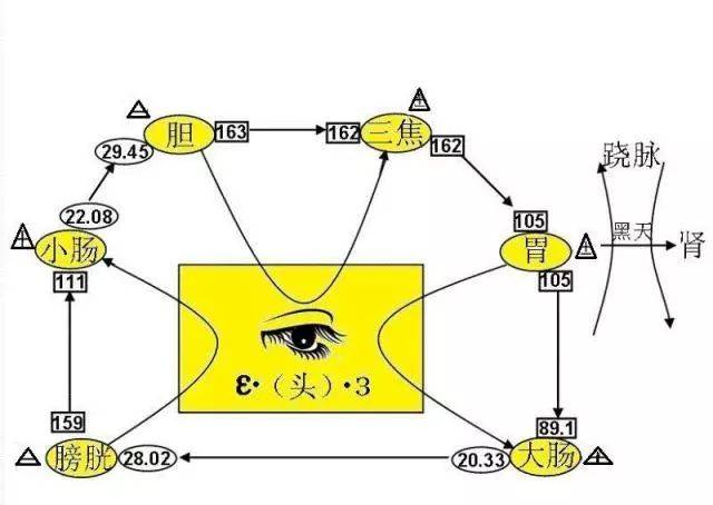 卫气循行示意图高清图片