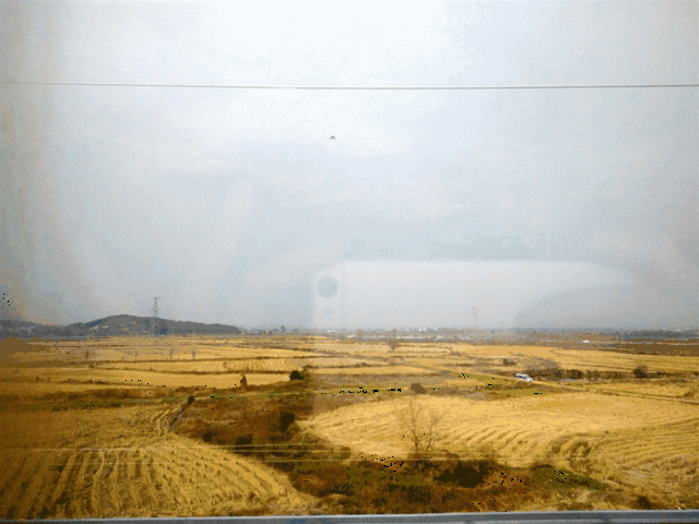 车窗外成片的稻田让人心情大好~ 13:58 到达都昌站 经历了2小时15分